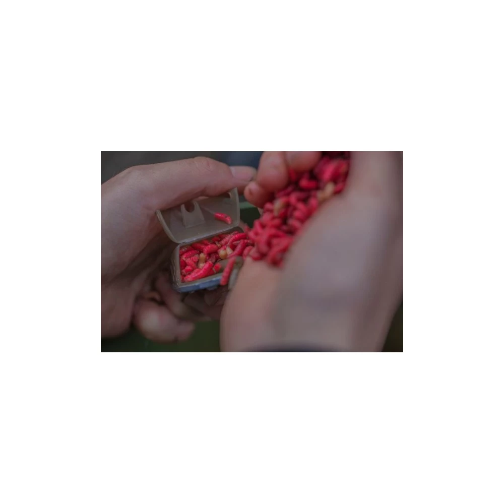 Guru Multi Maggot Small 40 Gr Feeder 4 Guru Multi Maggot Small 40 Gr Feeder - Afbeelding 4